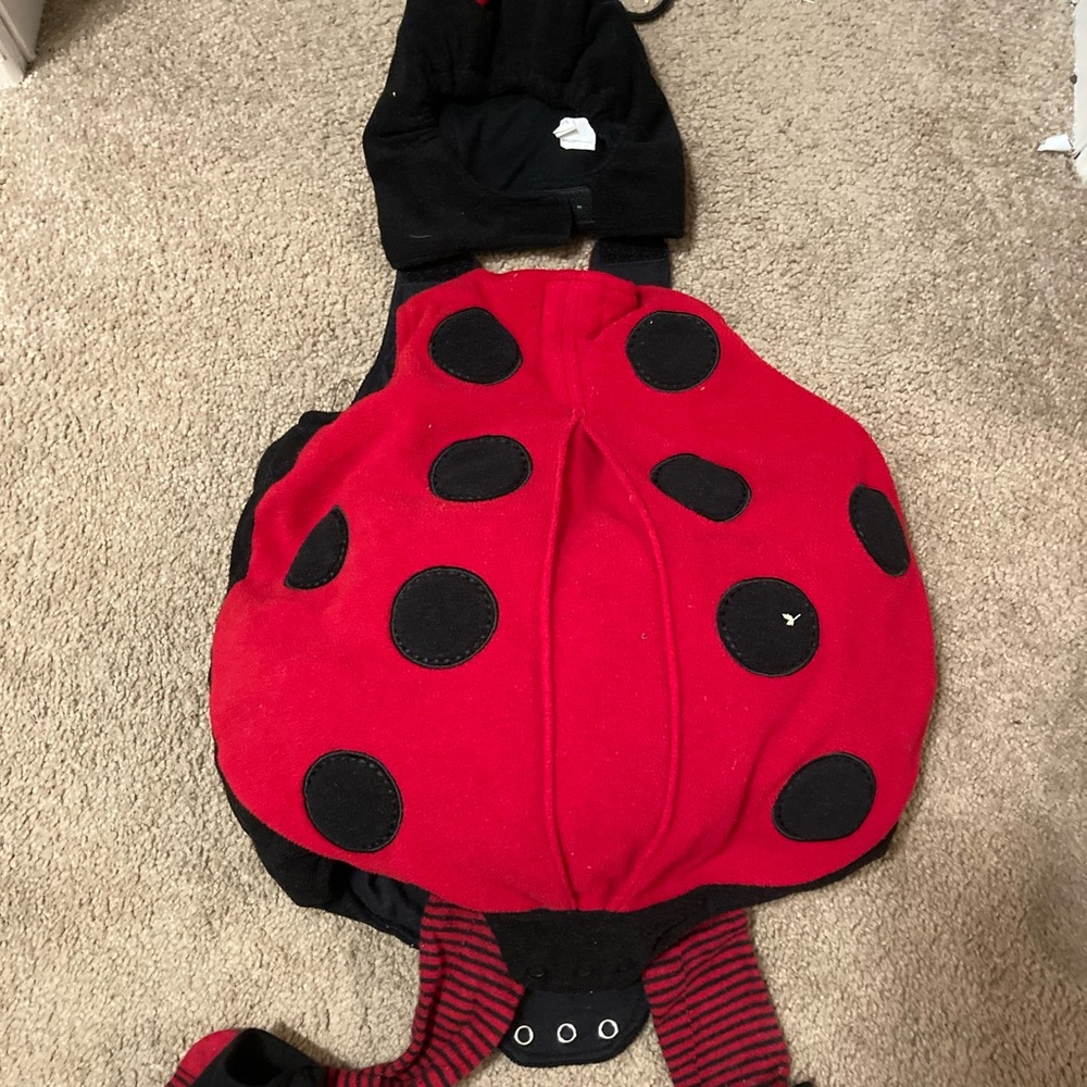 0-6 month ladybug costume